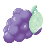 Grape with Leaf png