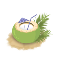 Illustration of Green Coconut Fruit png