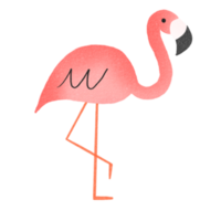 dier flamingo decoratief hand- getrokken illustratie elementen png