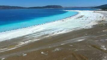 gens nager sur vacances dans le blanc sablonneux plage de le clair tropical turquoise lumière bleu mer video