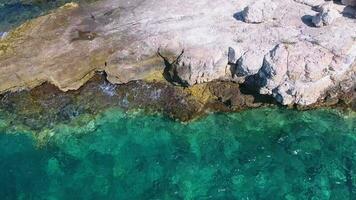 roccioso e pietroso riva del mare nel intatto mare video