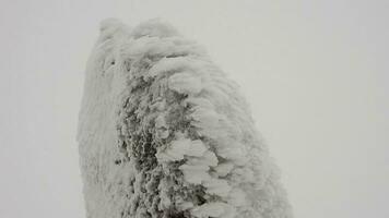 snö skikten ackumuleras på sten i de hård stormig kall väder i vinter- video