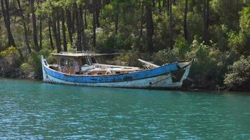 abandonado velho histórico de madeira barco em mar às Beira do floresta video