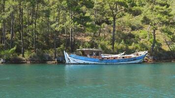 verlassen alt historisch hölzern Boot auf Meer beim Kante von Wald video