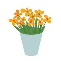 Vector daffodils bouquet in vase flat style illustration
