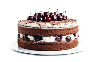 stock photo of black forest cake food photography isolated white background