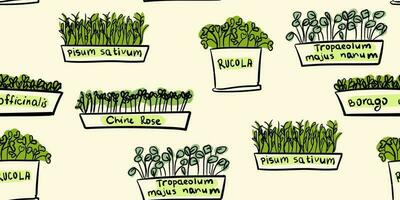 microverde sin costura modelo. garabatear ilustración de diminuto, joven comestible verduras en un repitiendo antecedentes. vector obra de arte exhibiendo un variedad de microgreens me gusta brócoli, col rizada, y rábano coles