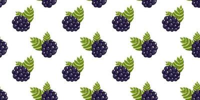 Blackberry seamless pattern. Vector. Can be used to create appealing and decorative designs for various products like wallpapers, fabric prints, packaging, or stationery with a fresh and summery vibe. vector