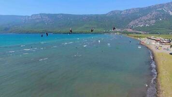 kitesurf, kitesurf kiters e praticantes de kitesurf estão puxado através mar água de uma vento poder pipa video