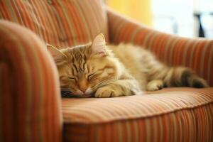 linda gato dormido o descansando en el sofá a hogar. perezoso gato dormido en el sofá. gato día concepto por ai generado foto