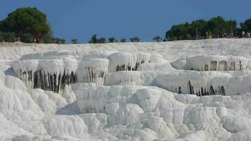 visitantes y turista personas camina de pamukkale calcio carbonato travertinos video