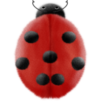 Lovely little ladybug png