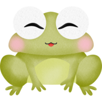 lindo sapo verde png