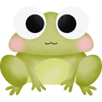 lindo sapo verde png