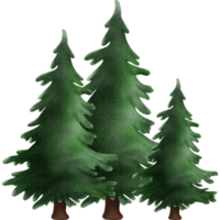 Cute Christmas tree png