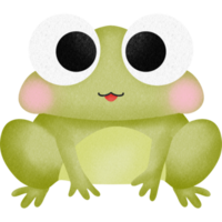 jolie grenouille verte png