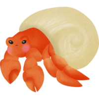 Cute sea creature png