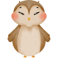 charmant peu hibou png