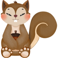 Little Cute squirrel png