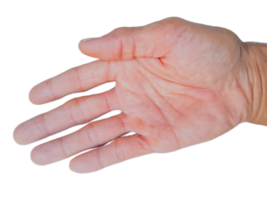 manlig asiatisk hand gester isolerat med transparent bakgrund png