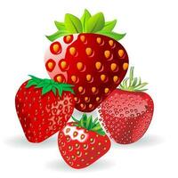 Fresh red and tasty strawberries isolated on a white background vector