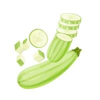 fresh cucumber slices isolated on white background vector