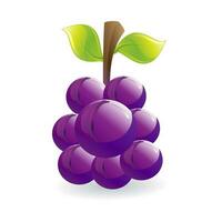 Grapes realistic composition with green and ripe grapes isolated vector