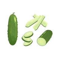 fresh cucumber slices isolated on white background vector