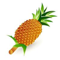 Vector illustration of the yellow ripe pineapple fruits