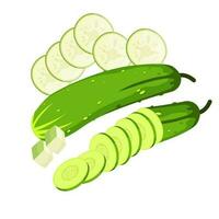 fresh cucumber slices isolated on white background vector