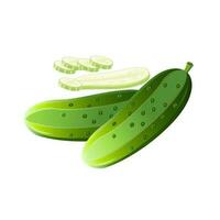 fresh cucumber slices isolated on white background vector