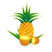 Vector illustration of the yellow ripe pineapple fruits