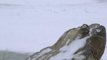 Snow Layers Accumulating on Rock in the Hard Stormy Cold Weather in Winter video