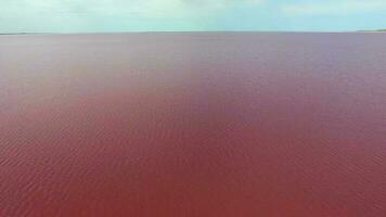 Pink Colored Lake Water video