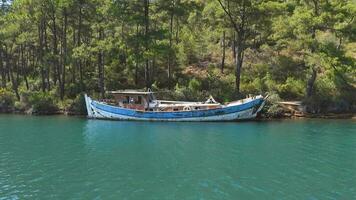 Abandoned Old Historic Wooden Boat on Sea at Edge of Forest video
