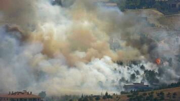 broussailleux forêt Feu incendie à le bord de ville Maisons video