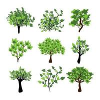 Green trees vector illustration set. Set of variety plants and trees. Trees collection in hand drawn