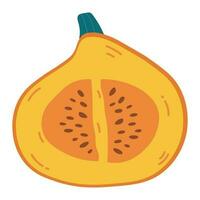Orange ripe pumpkin in a section with seeds. Hand drawing half pumpkin vector illustration. Hello autumn fall season