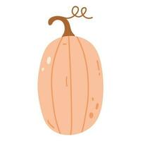 Cute pumpkin vegetable cartoon illustration. Hello autumn fall season. Elements for autumn decorative design, halloween invitation, harvest thanksgiving. Hand drawing flat vector illustration