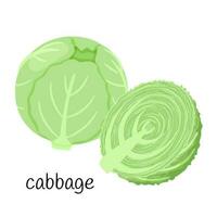 Head of cabbage. Whole and half in cross section. Vegetable, ingredient, food packaging design element, recipes, menu. Isolated on a white background vector illustration in a flat style.