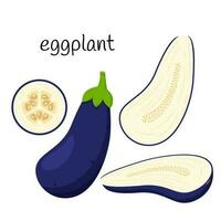 Fresh eggplant. Whole, half with seeds and a slice in cross section. Vegetable, ingredient, the element of packaging design for food, recipes. Isolated on a white vector illustration in a flat style.