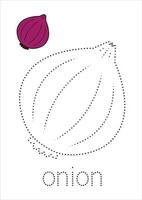 Onion Trace and Color vector