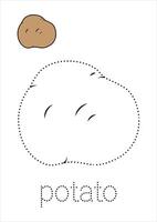 Potato Trace and Color vector