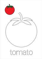Tomato Trace and Color vector