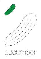 Cucumber Trace and Color vector