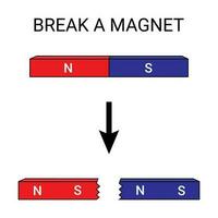 Break a Magnet in Half vector