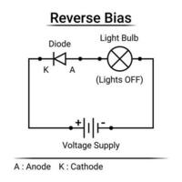 Reverse Bias Circuit Diagram vector
