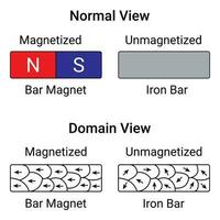 magnético y desmagnetizado dominios vector