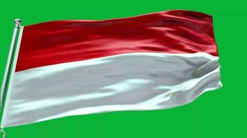 Indonesia National Flag video