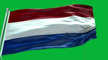 Nederland nationaal vlag video